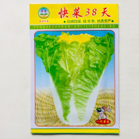 快菜38天[原装5克] 早熟20天快菜种子四季速生早熟高产量快菜种子耐高温耐湿蔬菜种孑