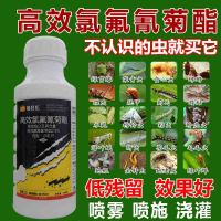 300ml 高效氯氰氟菊酯杀虫剂蔬菜菜青虫蚜虫食心虫地上地下害虫果树花卉