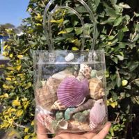 20个贝壳海螺透明手拎袋款 天然贝壳海螺海星鱼缸造景装饰品科教用品儿童玩具生日礼物