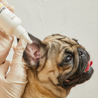 滴耳液猫用除耳螨宠物猫咪耳朵清洁用品狗狗洗耳液猫耳螨