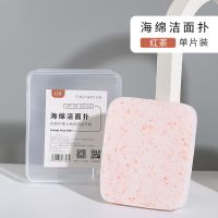 红茶[赠收纳盒] 单个装 洗脸扑海绵洁面扑加厚洗脸海绵深层清洁脸部去角质卸妆粉盒装