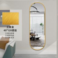 SYXY土豪金 30*80(壁挂/粘贴) 全身壁挂贴墙粘家用卧室女生宿舍穿衣服装店轻奢风装饰试衣镜子