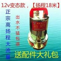 12v120w无增品 12V直流潜水泵24V48V60V伏电动车抽水机农用小型抽水泵电瓶车水泵