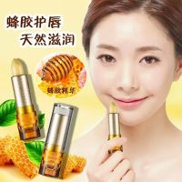 诗黛尔天然蜂胶护唇膏[一支装] 滋润唇膏保湿补水防水防干裂无色孕妇女学生款高颜值