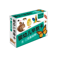 可爱动物 幼儿认字英语启蒙认字识字卡片拼音学习神器儿童早教英语单词卡片
