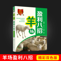 羊场盈利八招 零起点学办羊养殖场 肉羊场生产工艺设计书养殖业经营管理消毒方法常用消毒设备常规消 高效养羊技术指导教程