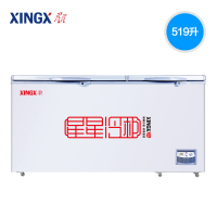 星星(XINGX) 冰柜 BD/BC-519E 519升 商用卧式大冷柜 大型冷藏冷冻转换单温雪柜