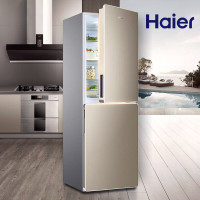 海尔(Haier) BCD-170WDPT 170升冰箱 双门两门风冷无霜冰箱 租房宿舍家用小型冷藏冷冻