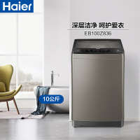 24H发货|海尔(Haier)EB100Z836 波轮洗衣机 10公斤海尔大容量波轮洗衣机智能自编程