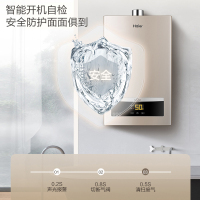 [24h闪发]海尔(Haier) JSQ30-16D11(12T) 强排式燃气热水器16升水汽双调恒温即热天然气