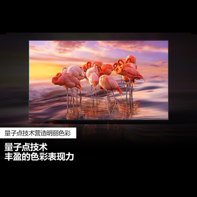 三星(SAMSUNG) QA75Q60CAJXXZ 电视 超薄全面屏 4K超高清HDR液晶 AI智能语音 QLED量子点