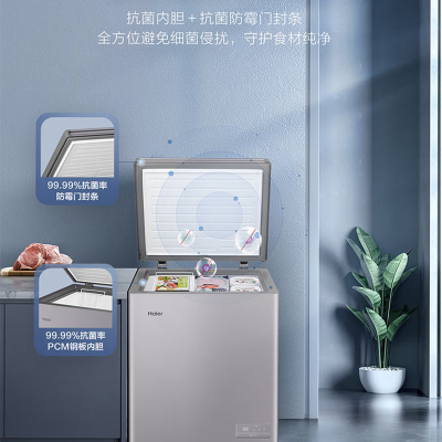 海尔(Haier)BC/BD-100GHEPC100升冷藏冷冻柜-40℃智控低霜商用家用冰柜 母乳囤货小冰柜