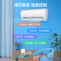 [618大促]海尔(Haier)劲风 2匹 新一级客厅变频空调挂式 自清洁空调挂机 KFR-50GW/24PAA81U1