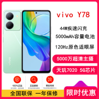 vivo Y78 12GB+256GB 玉瓷青(新)
