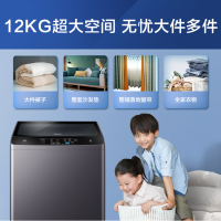 (W)海尔(Haier)EB120B22Pro2波轮洗衣机 12公斤大容量 波轮洗衣机全自动 直驱变频 健康桶自洁