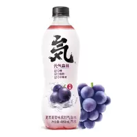 元气森林夏黑葡萄气泡水480ml*15