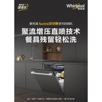 惠而浦(Whirlpool)15套 洗碗机 全自动家用 三层碗篮高温除菌智能烘干 WDH5002BC,含门板