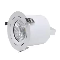 格瑞捷 嵌入式LED灯具(LED筒灯)GRJ-TD01-100W 白光5700K/个