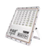 LED投光灯 GRJ-109A-100W 白光/个