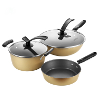 華帝(vatti) P313 华帝典雅不粘三件套