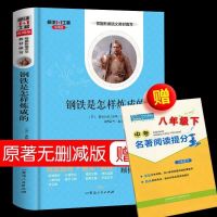 (单本)钢铁是怎样炼成的+送考点 八年级下册钢铁是怎么样炼成的原著傅雷家书正版无删减名著书