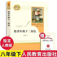 给青年的十二封信[赠考点手册] 钢铁是怎样炼成的 傅雷家书 人教版无删减初中八年级下册学校必读