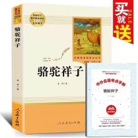 骆驼祥子(送考点) 儒林外史简爱钢铁是怎样炼成的傅雷家书海底两万里骆驼祥子人教版