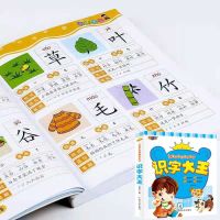 识字大王800字[单本] 儿童学前识字大王看图识字书彩图注音幼小衔接学前常用汉字早教书