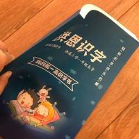 洪恩识字1300字识字册 洪恩识字APP1300字1-5季 识字书 识字阅读 绘本 幼小衔接识字卡片