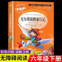 尼尔斯骑鹅旅行记 尼尔斯骑鹅旅行记正版原著爱丽丝漫游奇境记六年级下册必读课外书
