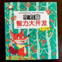 2-3岁左右脑开发书(1本228页) 2-6岁左右脑开发全脑智力潜能大开发思维逻辑训练游戏书