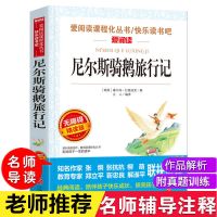 尼尔斯骑鹅旅行记 六年级下册骑鹅旅行记汤姆索亚历险记鲁滨逊漂流记爱丽丝漫游奇境