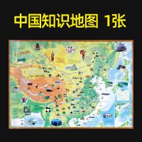 1张 中国知识版地图 无痕发货 2021版儿童中国世界地图少儿地图初中小学生地理知识百科地图墙贴