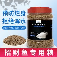 3mm招财鱼专用鱼食 600ml+送380ml南极虾 招财鱼粮上浮料观赏鱼饲料热带鱼鹦鹉鱼料地图鱼战船专用金鱼鱼食