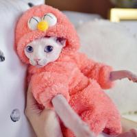 橘粉 L 激萌芝麻街双面羊羔绒冬天加厚斯芬克斯无毛猫衣服