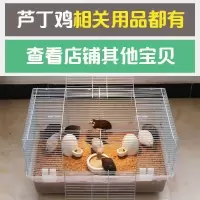 60透明笼(裸笼) 芦丁鸡鸭子专用养殖笼家用发酵床笼子饲养箱养鸡仓鼠鹌鹑60基础笼