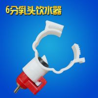 鸡用乳头饮水器(6分) 10个 鸡用自动饮水器 喂水器小鸡乳头饮水器鸡鸭鹅钢球饮水器喂鸡工具