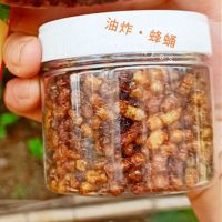 350只(一瓶) 雄蜂蛹 蜜蜂蛹 营养高蛋白即食 蜜蜂幼虫 350只/每份