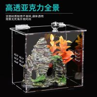 亚克力透明观景箱1#(蘑菇屋款) 蝈蝈宠物保温箱爬宠饲养箱刺猬蜥蜴陆龟角蛙爬虫箱pvc守宫生态盒