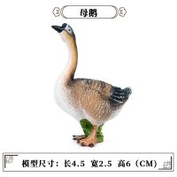 母鹅 仿真大鹅模型静态实心塑胶家禽农场大白鹅狮头鹅儿童认知玩具摆件