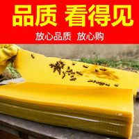 中蜂巢础[10片 ] 1盒[单独巢础] 巢础中蜂巢础蜜蜂工具蜂巢全套专用养蜂工具蜂蜡蜂箱养蜂巢基巢础