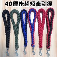 红色 M-长度40厘米 不带弹簧 一步牵遛狗绳子防爆冲短牵引绳带中型犬大型犬金毛阿拉斯加狗链子