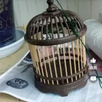 不是鸟笼我看谁还傻 蝈蝈笼菱形六角圆笼鸣虫蝈蝈笼塑料竹子蝈蝈笼经典款爬虫用具手工