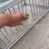 40*40*26两面加密碰门 天落笼踏笼翻笼只进不出鸽子笼