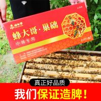 正品蜂大哥巢础[10片试用装] 中蜂巢础蜜蜂巢脾深房巢础片蜂蜡片土蜂箱巢皮巢础养蜂工具