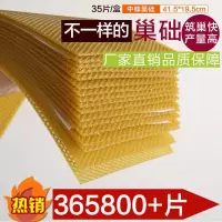 八千巢础中蜂10片[试用装] 八千中蜂巢础蜜蜂巢脾深房蜂蜡巢础片土蜂箱巢皮巢基养蜂专用35片