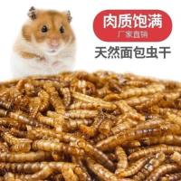 2-3cm 2两面包虫干 人吃食用烘干面包虫黄粉虫仓鼠鸟鹦鹉八哥鱼龟主食饲料营养蛋白质