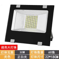[50小时一度电]高亮款30W 接电使用220伏 LED投光灯户外防水路灯节能灯超亮led灯射灯工厂工地室外照明灯具