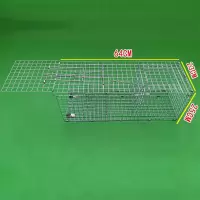 单门机关笼:64*23*25cm 捕鸽子笼抓鸽子神器天落笼野外自动诱鸽笼折叠只进不出逮鸽子神器