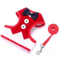 礼服款套装 红色 S码 适合3-6斤 狗链子牵引绳狗绳狗狗胸背带猫绳子小型犬遛狗狗链猫咪小狗牵狗绳